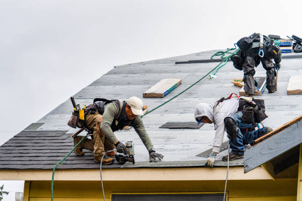 Professional Flat Roof Repair technician working in Timnath, CO